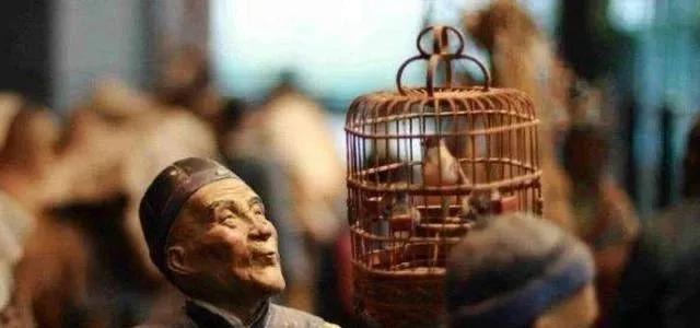 古代|民间俗语“三虎出一豹，三斑出一鹞”，你觉得有道理吗？