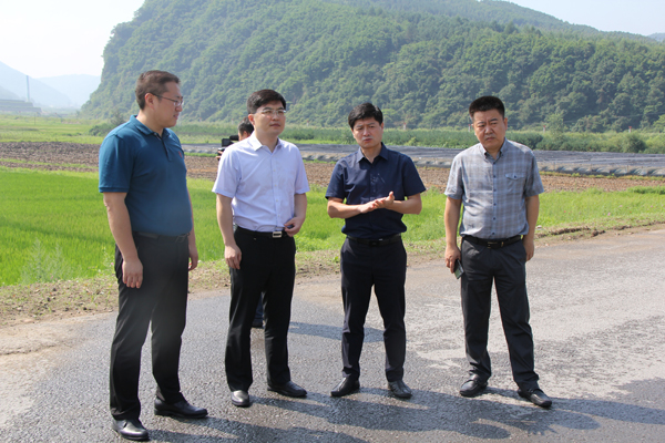 宣传部长,鸭绿江市级河长蔡红星来集调研,我市市委常委,副市长曲玉祥