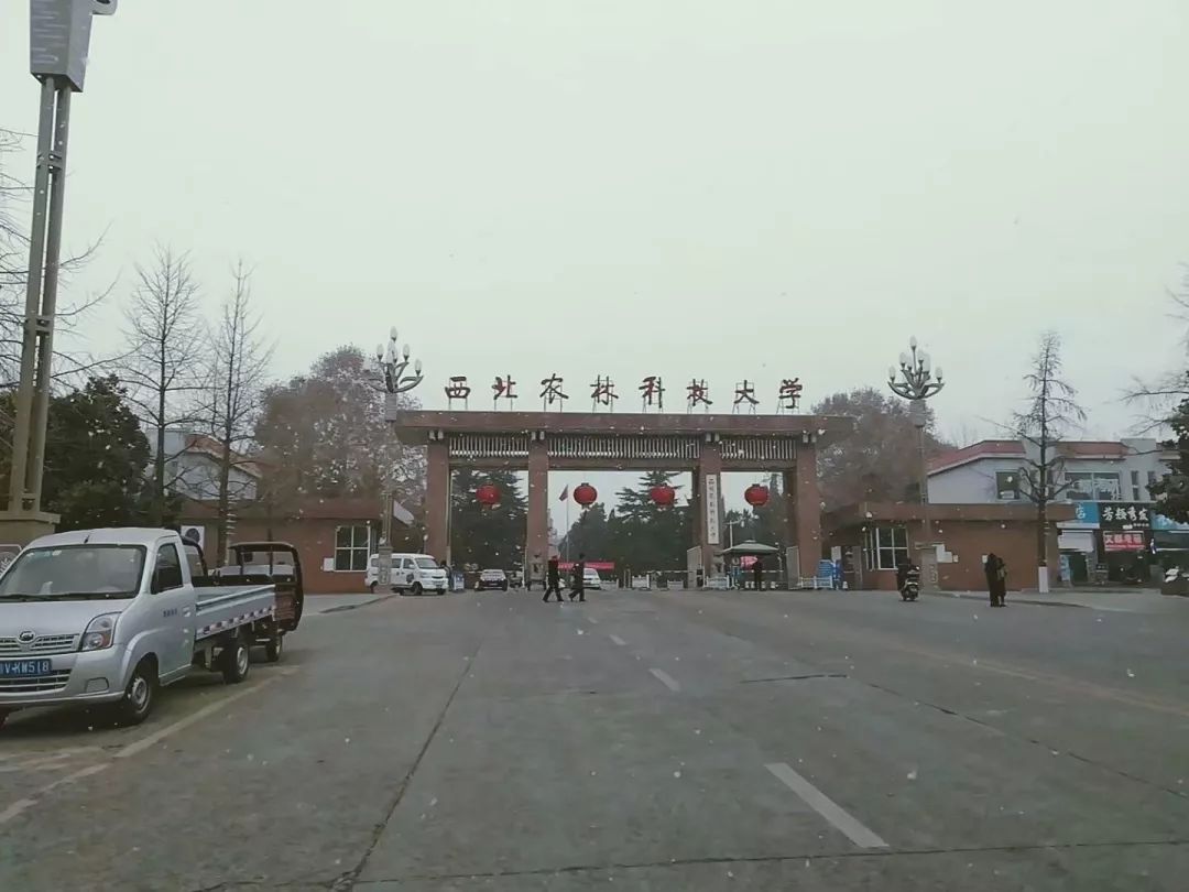 西农等你来点开呀