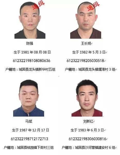 关于征集陈凯等人违法犯罪线索的通告_城固县