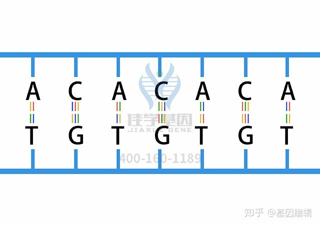 新生儿肾囊肿怎么办