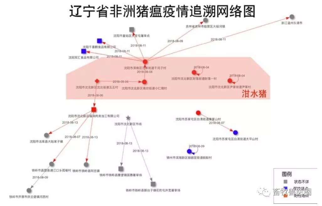 养殖非洲猪瘟是如何传入我国又是为何传播这么快的