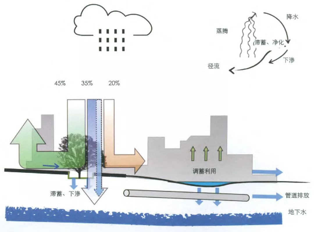 《风景园林》热点导读 | 02 城市雨洪管理