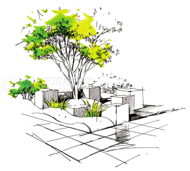 乔木,灌木,草本,植被的表现全部融入到画面中来了.