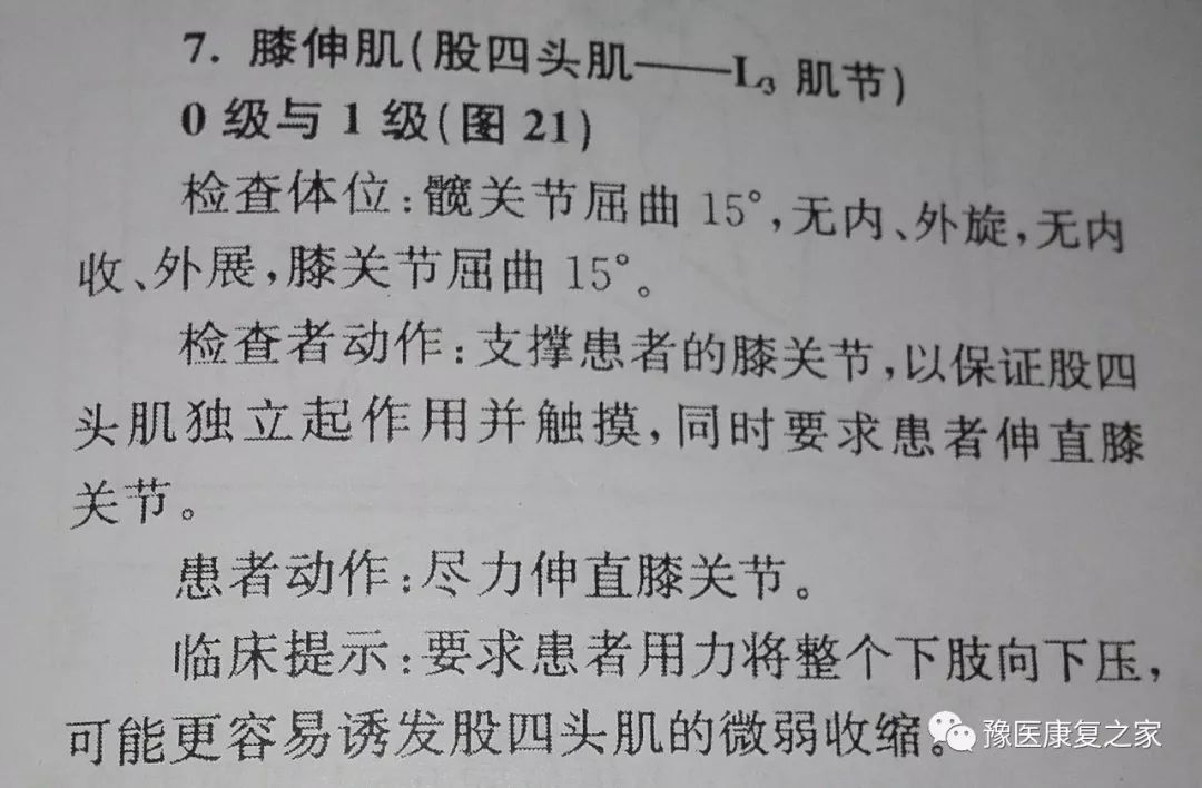 留言解读截瘫损伤关键肌评定