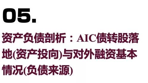 黄金发展期来临一文看懂金融资产投资公司都能谈球吧体育做些啥？(图10)