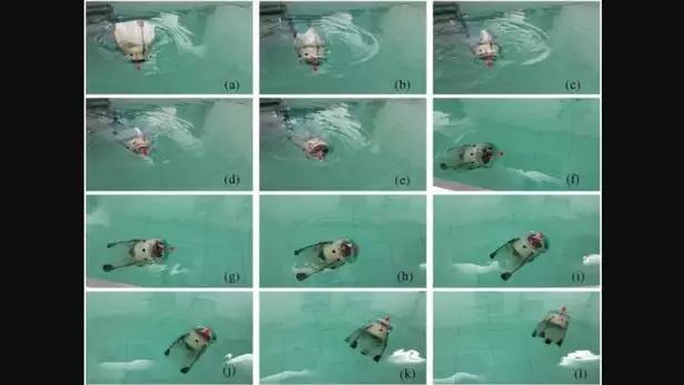 关注 | 中国科学家研发全新无需系绳的水母机器人！