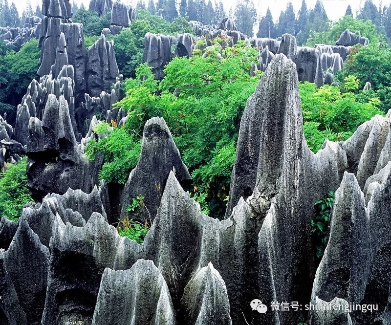 19世纪后期,南斯拉夫地质学家对该地区发育的各种奇特的地貌进行广泛