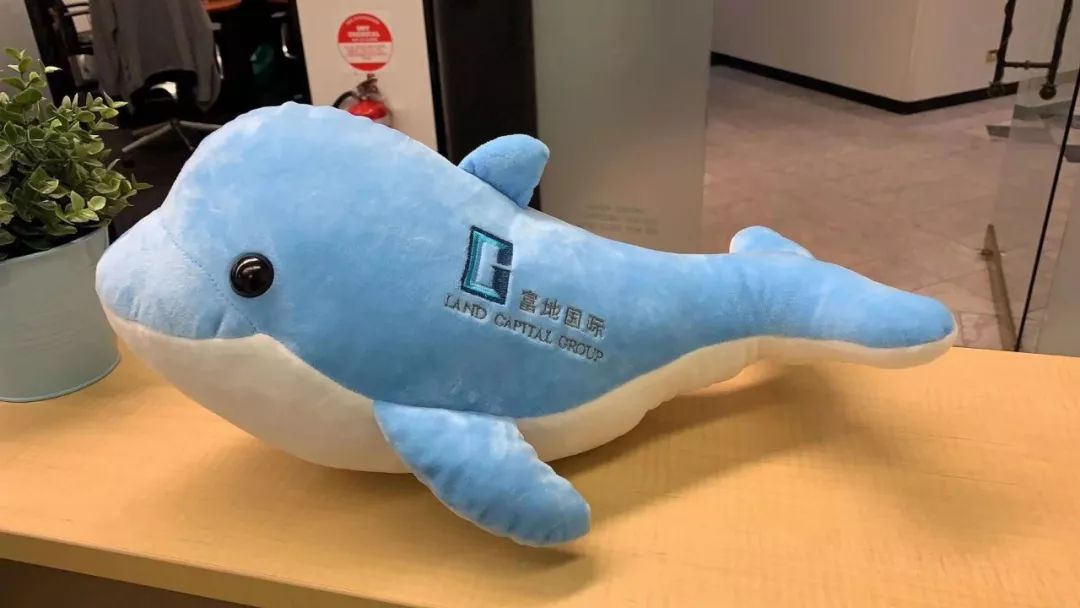 lcg富地国际  多功能数据线若干   可爱海豚玩偶若干