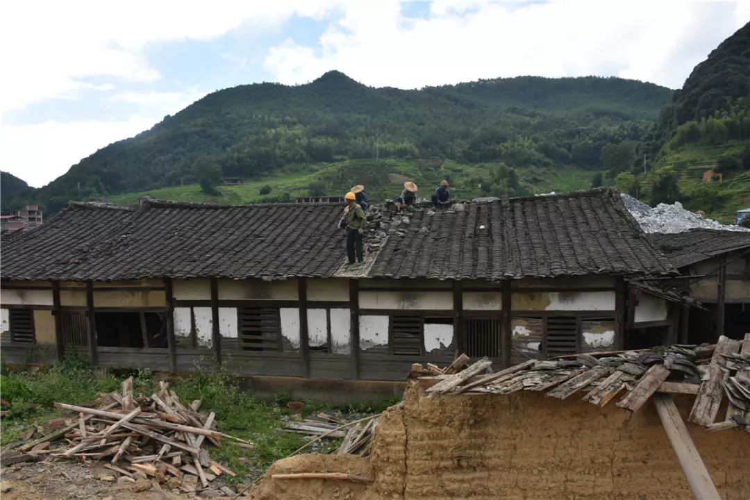 千多平米的  老宅轰然倒下  感谢兴泉铁路(大田段)办公室供稿 编辑:咕