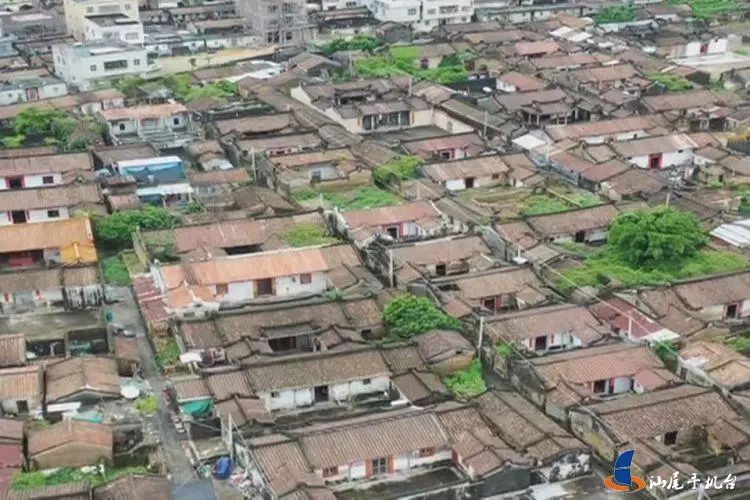 电视台报道!陆丰博美镇鳌峰村 入选广东省第六批古村落!