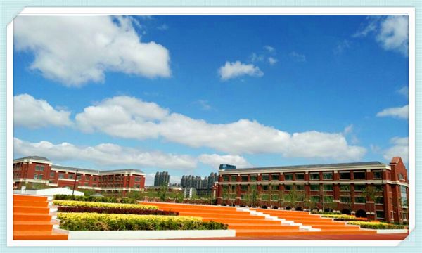 重磅东营行知实验学校2019年招生简章