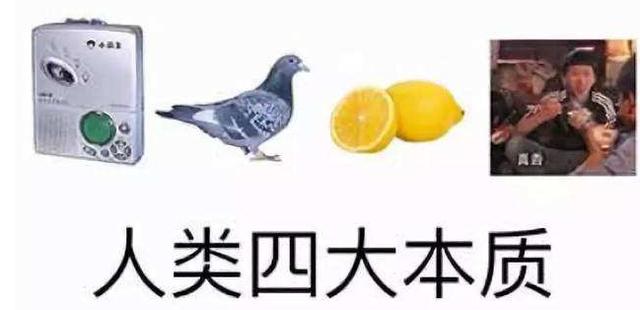 原创就因为多下了个网易大神我亲友比我多白嫖好多东西