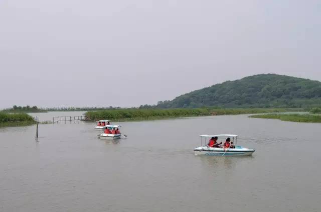 苏州西山横山岛有多少人口_苏州西山岛(3)