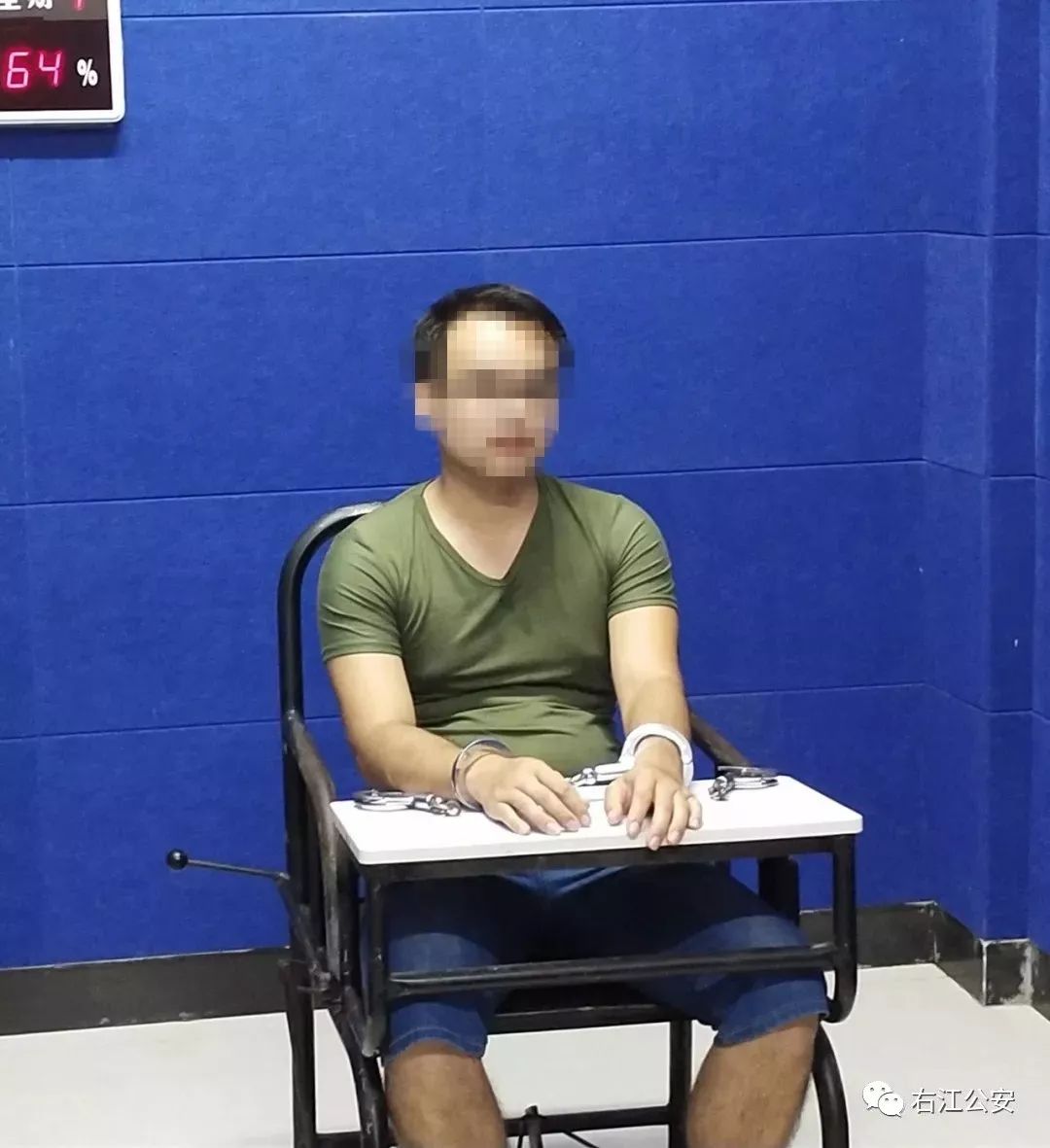 德保男子被人蛊惑偷鹦鹉被抓_覃某忠