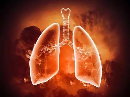 秋燥易伤肺，容易发生咳嗽或干咳无痰、口舌干燥等症。肺津伤则见口干、