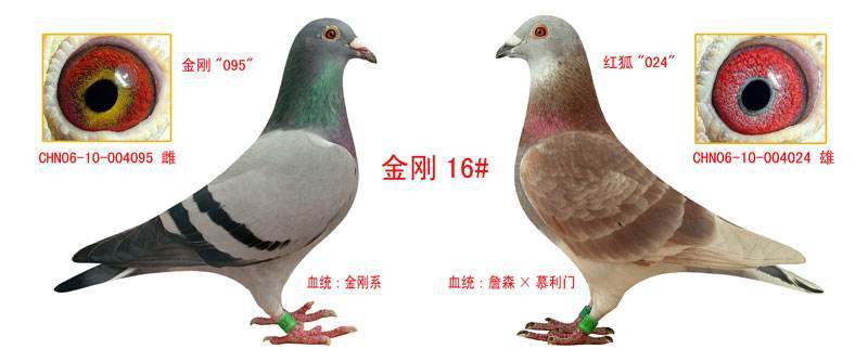 af344432cb0740aba3fc6d1cf0c0220f.jpeg