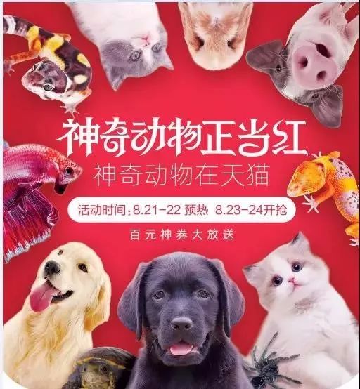 互动性强的小宠物 bc31048a753645e484f2e1e0ea856605.jpeg