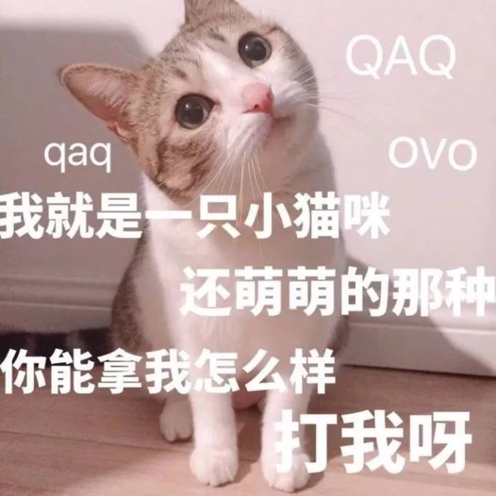 bc4b3281c0014355bc2c696a9d8b73bc.jpeg
