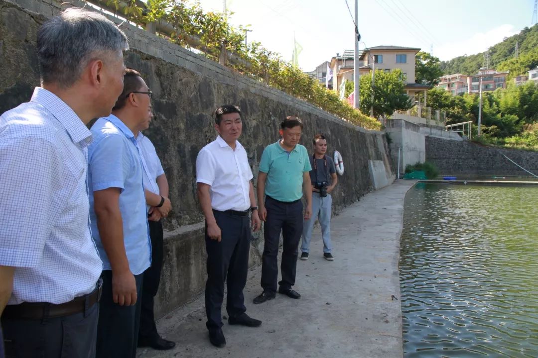 县委书记黄海峰赴千岛湖镇开展三服务走访调研