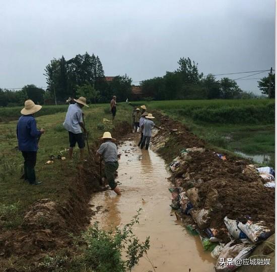 应城市杨河镇投入百万元确保2.7万亩农田抗旱用水