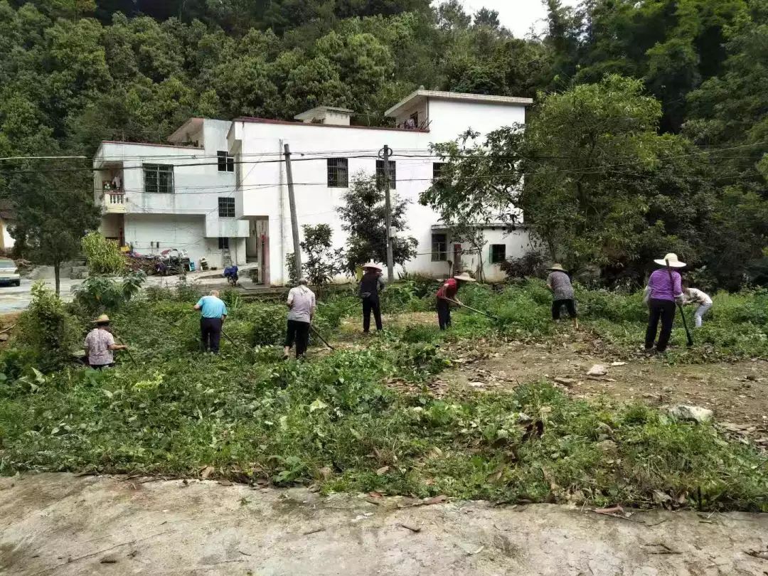 据了解,日前历洞镇黄梅村被确定为郁南县 2019 年生态宜居美丽乡村