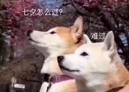 有名无实夫妻是什么意思 d2b8c95497744870ad040589a3ffba3d.jpeg