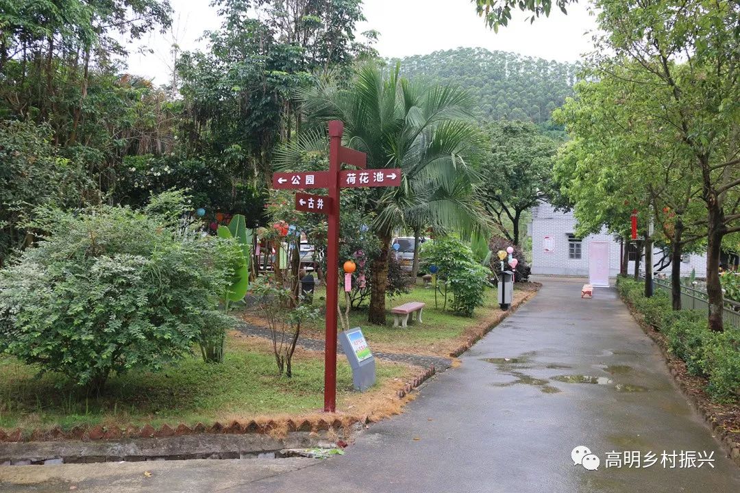 分别为:荷城街道坑边村;杨和镇洞口村,横岗村,大布一队,清泰八组;明