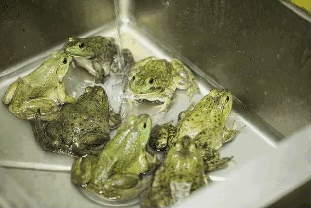 藏在香颂湾的私房菜好吃得板,不说你根本找不到!