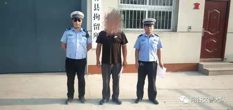 阳谷人口有多少2017年_2019年阳谷小树林
