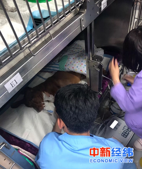 中国科技实力实现历史性跨越 从跟跑到并跑领跑