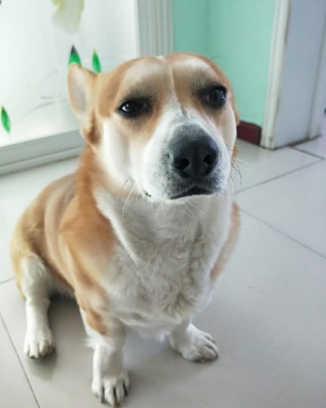 ecd18190a4a74965b0cefcabadaa8851.jpeg