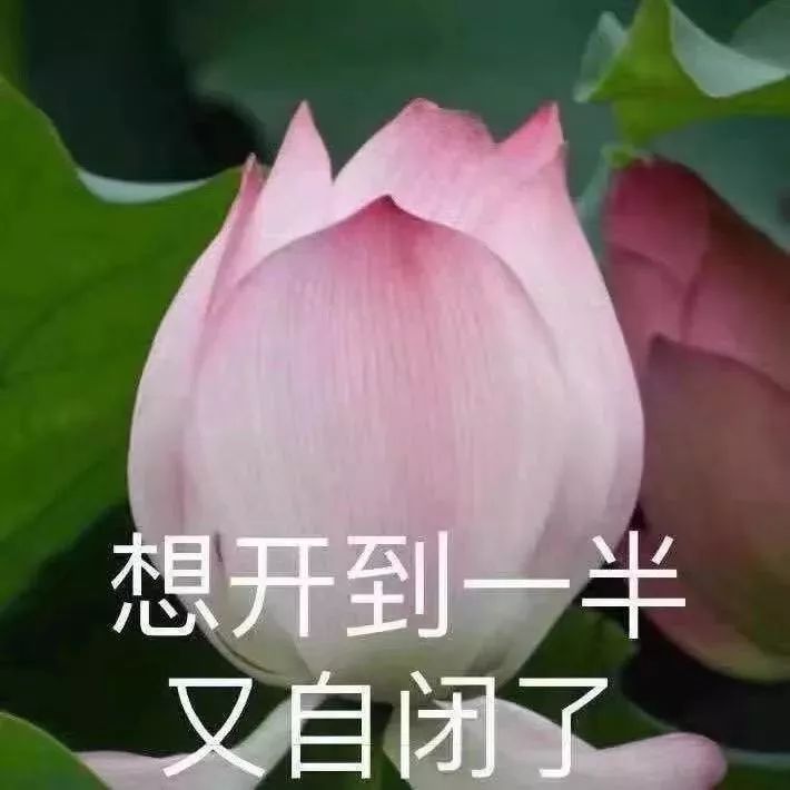 f8ee744f877e45babd27bfc752dc4da2.jpeg