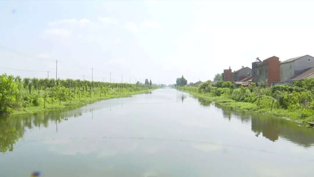 沙湖镇人口_恩平市沙湖镇水口村