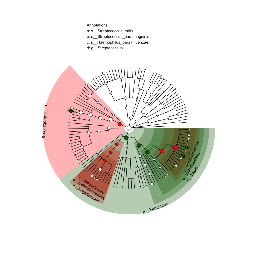 microbiomeViz:绘制lefse结果中Cladogram