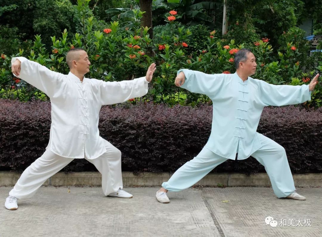 北京市武协会长杜德平：太极拳进京有四个阶段，要讲清楚它的历史_发展_拳术_武术
