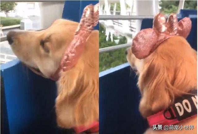 老人口饲(3)