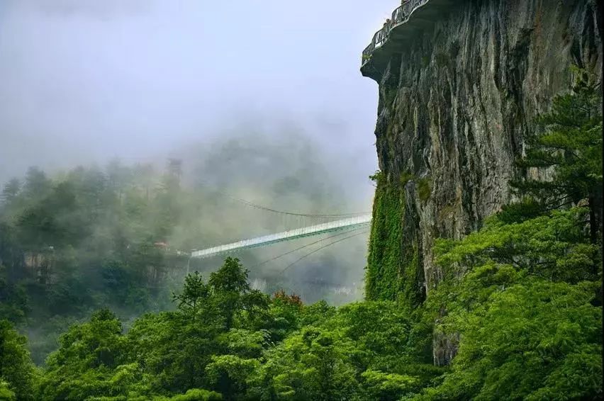 磐安灵江源森林公园特价自驾套票(景区大道门票 天空悬廊 玻璃桥 孔氏