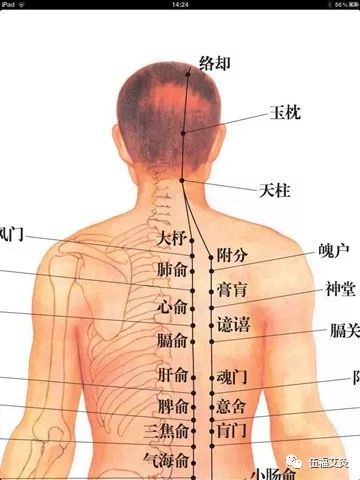 通全身经络的经典名方 157b6c760db6487dad2cde632fd89b51.jpeg