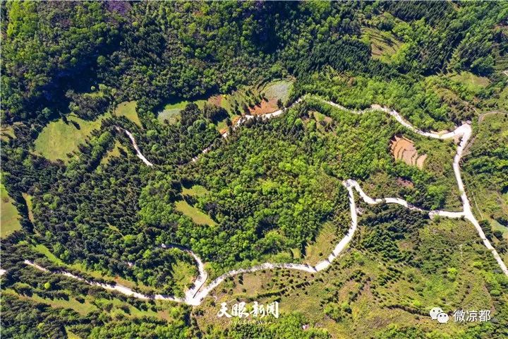 保基乡林中的通组公路.张从文 摄
