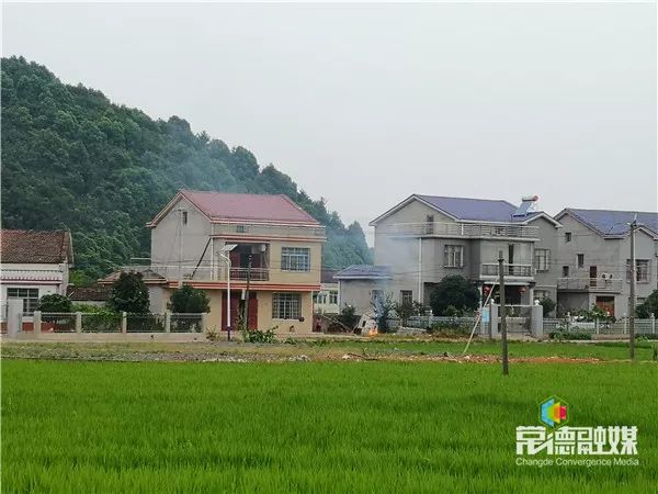 鼎城区石板滩镇秸秆焚烧现象严重 市领导现场劝阻