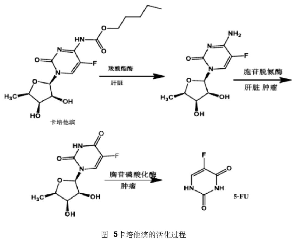 结石药的原理_所以根据我们人自身的生理特点,理论上最大横径为0.6cm以下的结石都可以用药物