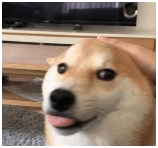 332039dd69a8421c84d9d19bc6e7e6e4.jpeg