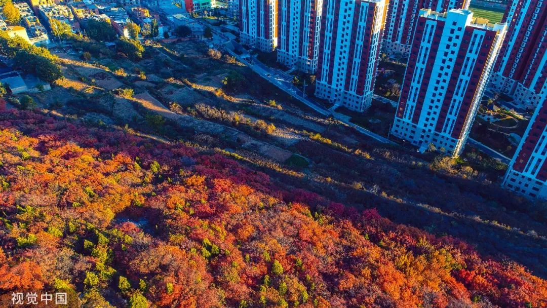 成都市2021年gdp排名_成都市2021年规划图(3)