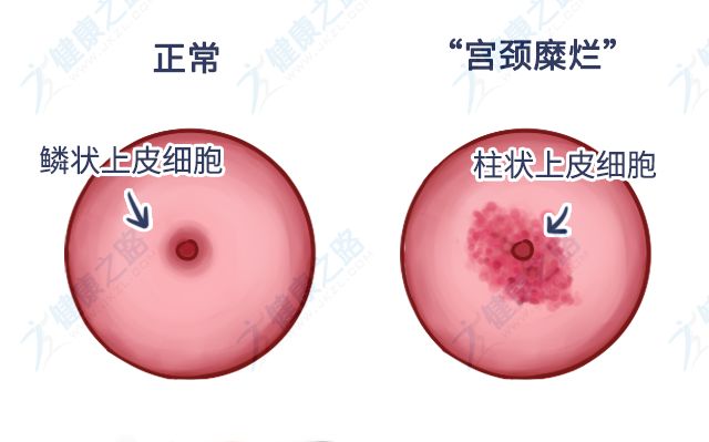 文章配图-5