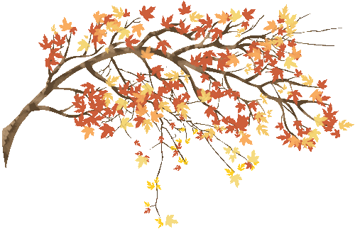 39877dfd7e1048ebad025a8c25d760e9.png