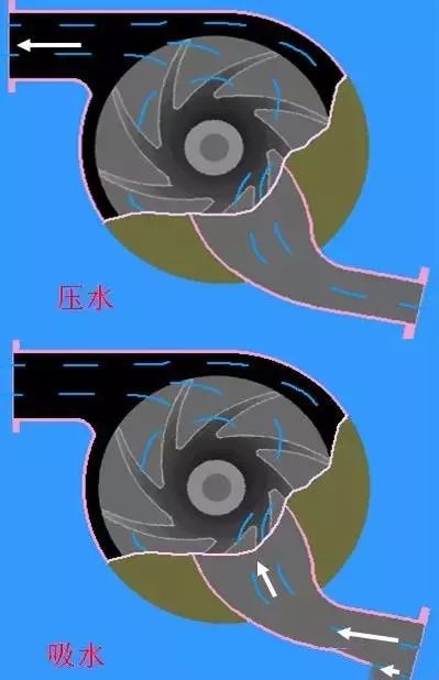 现在汽车发动机广泛采用离心式水泵. 风扇