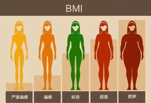 怎样减肥最科学健康 3f5f9e19db0b4c8d9579fd8bf3dd1e36.jpeg