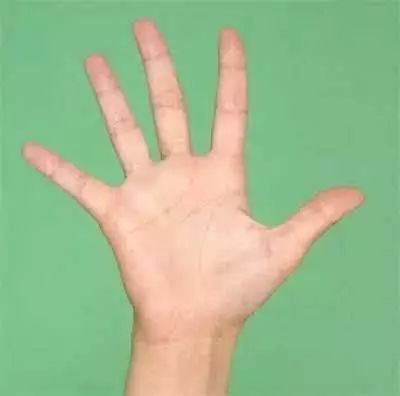 手什么时候发育 4386b667cf084f7780113379419d45a3.jpeg