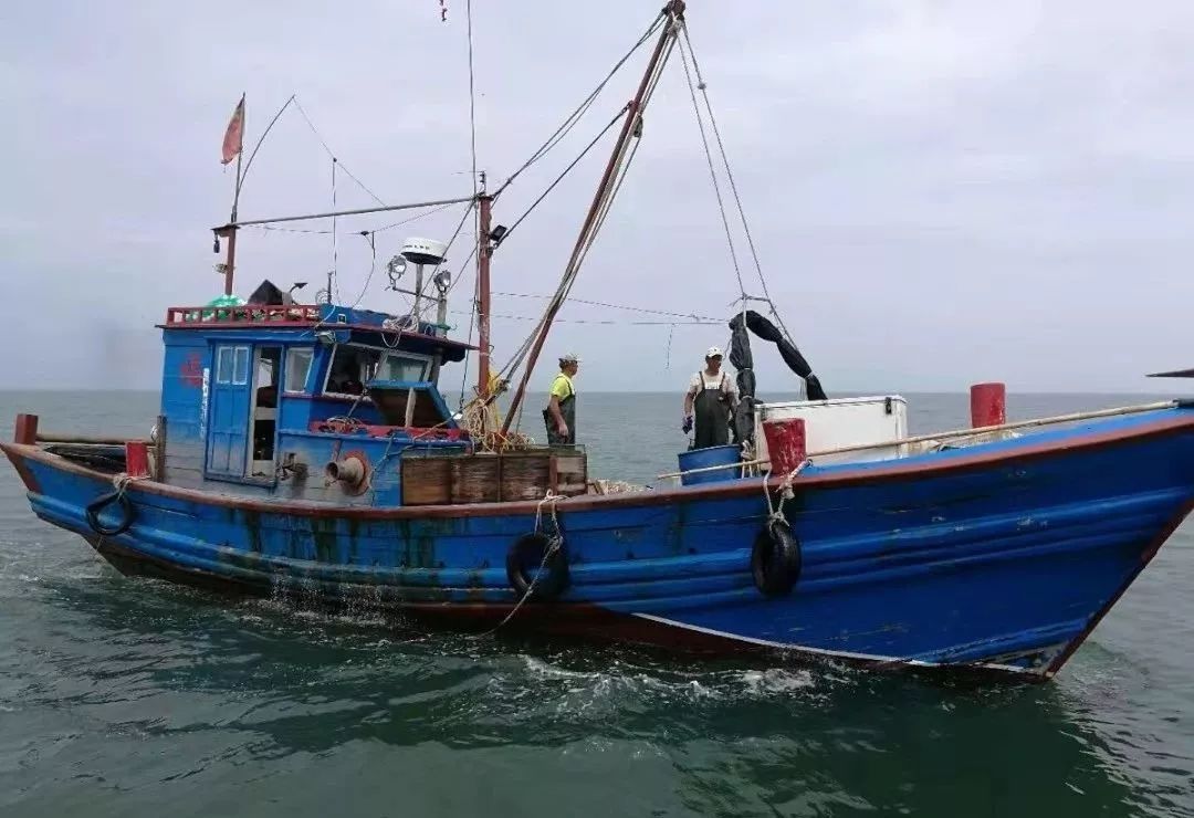 事发桑岛海域!龙口市海渔局查获8艘外地"偷捕"渔船